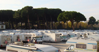 CARRARA APRE IL MERCATO: LE INIZIATIVE PROMOCAMP